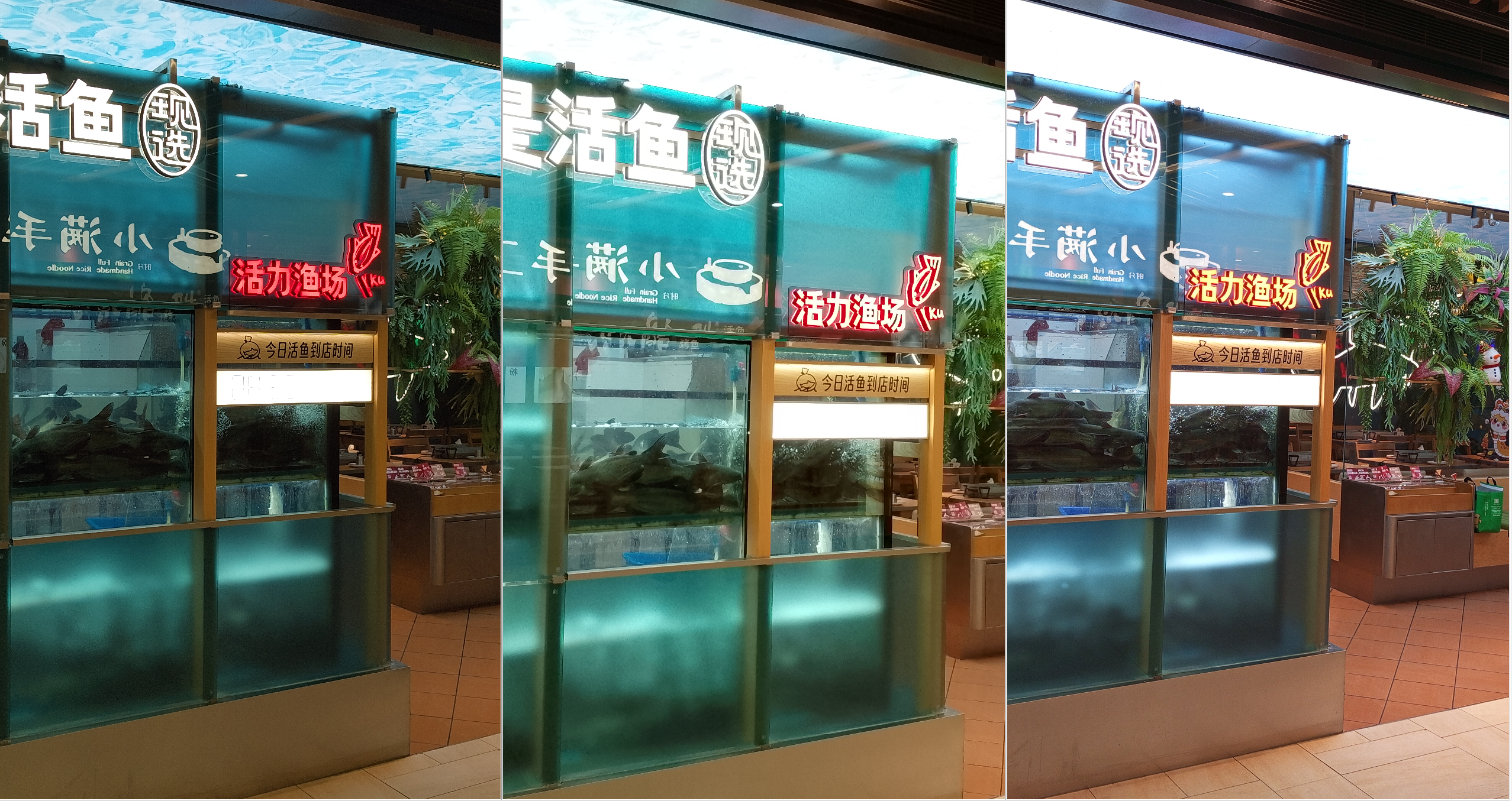 Starbo星宝(中国集团)官方网站